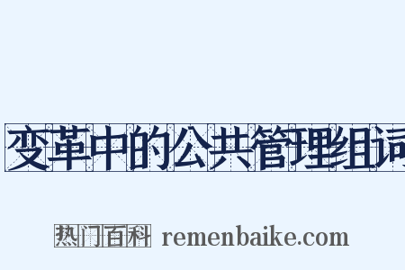 变革中的公共管理组词是什么意思的图片